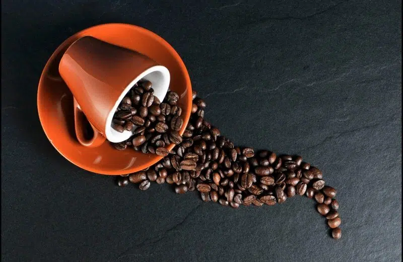 Quels sont les principaux bienfaits du café sur l’organisme