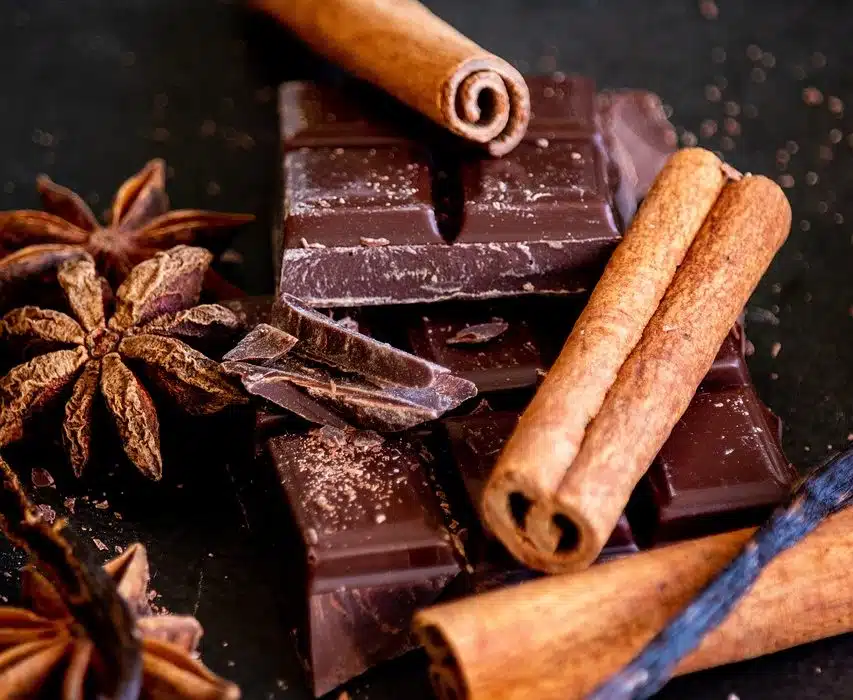 Zoom sur le chocolat et ses bienfaits