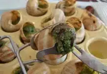 La cuisson des escargots surgelés : astuces et techniques pour les préparer