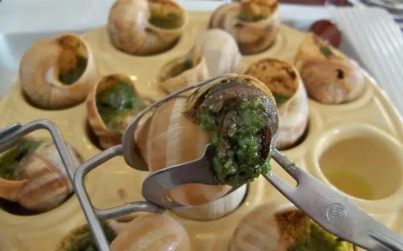 La cuisson des escargots surgelés : astuces et techniques pour les préparer