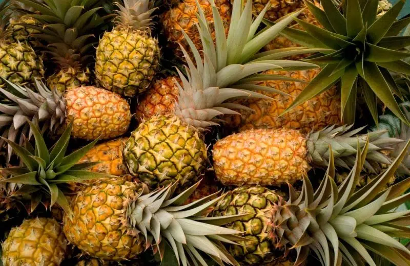 L’ananas dans tous ses états !