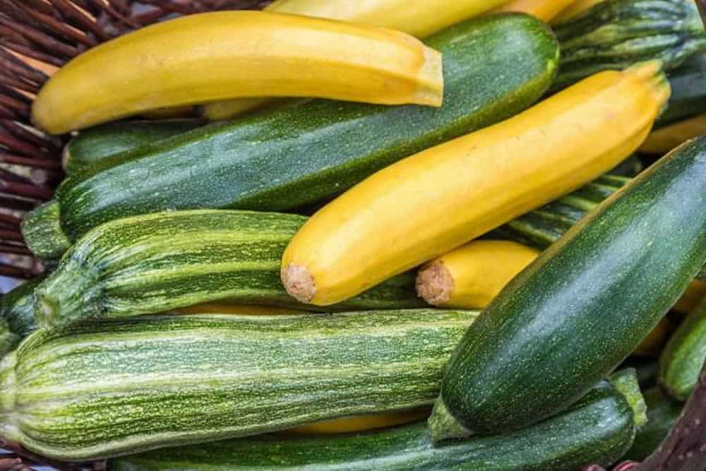 Tout savoir sur la courgette jaune