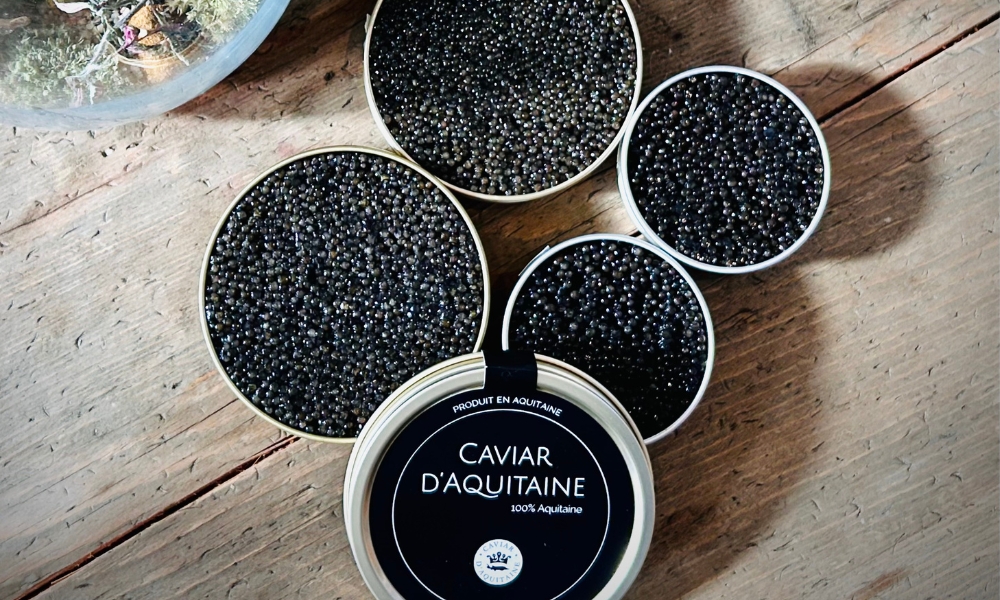 Caviar de France : L’élégance à la française dans votre assiette