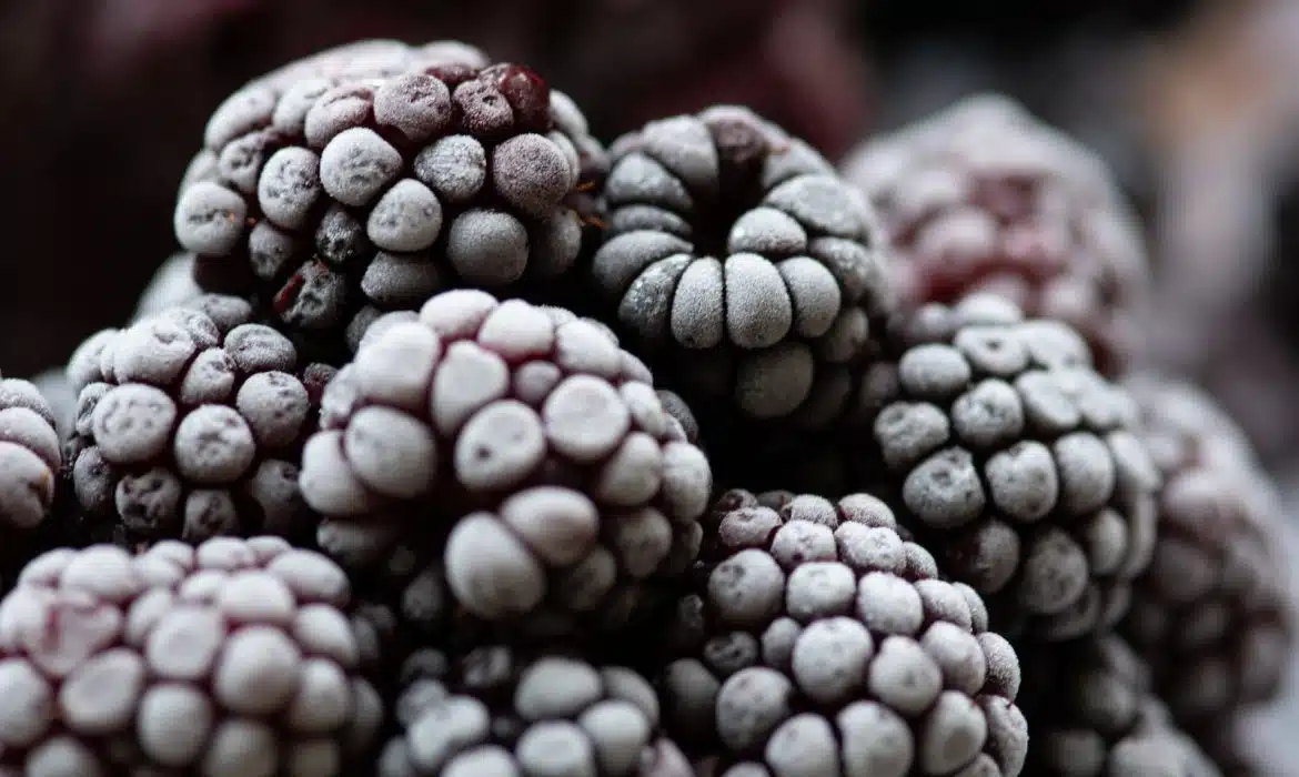 Quels sont les avantages des fruits et légumes surgelés