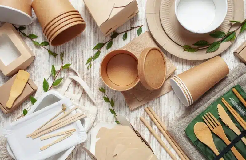 Les avantages du bambou pour la vaisselle de votre établissement