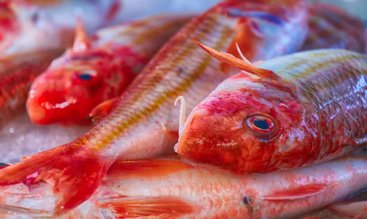 Où trouver une poissonnerie aux alentours d’Arzon ?