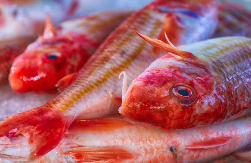Où trouver une poissonnerie aux alentours d'Arzon ?