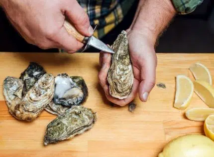 Quel accessoire pour ouvrir facilement des huîtres ?