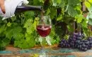 Le vin de Loire rouge : particularités et principaux crus