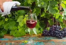 Le vin de Loire rouge : particularités et principaux crus