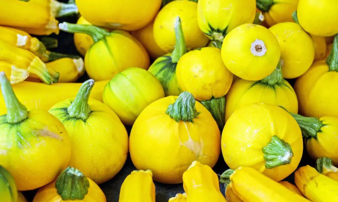 Les bienfaits méconnus de la courgette jaune