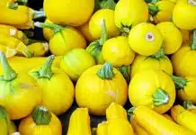 Les bienfaits méconnus de la courgette jaune