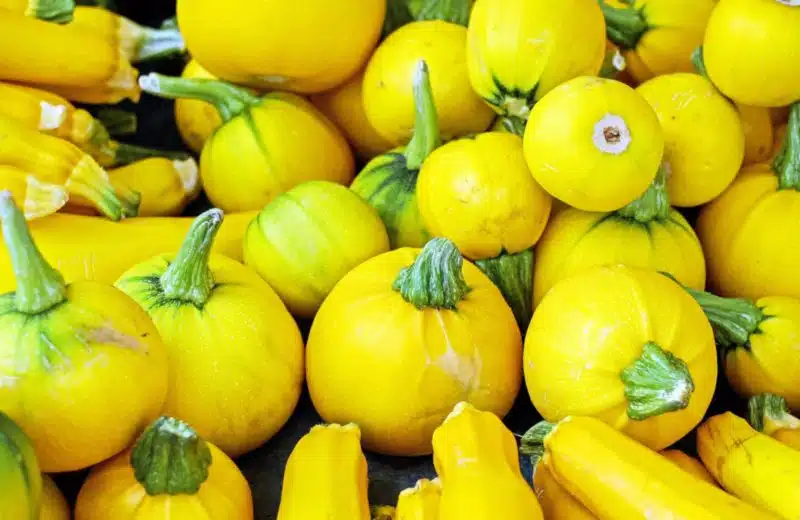 Les bienfaits méconnus de la courgette jaune