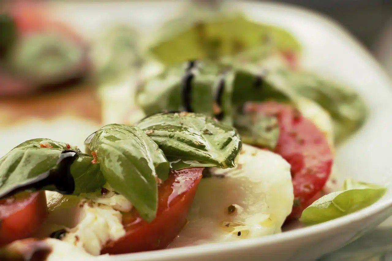 salade tomate mozza