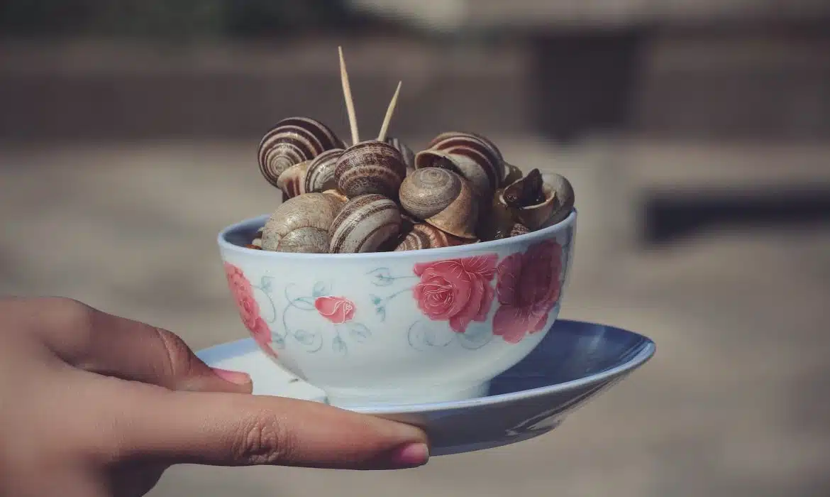 Comment faire cuire et cuisiner des escargots ?