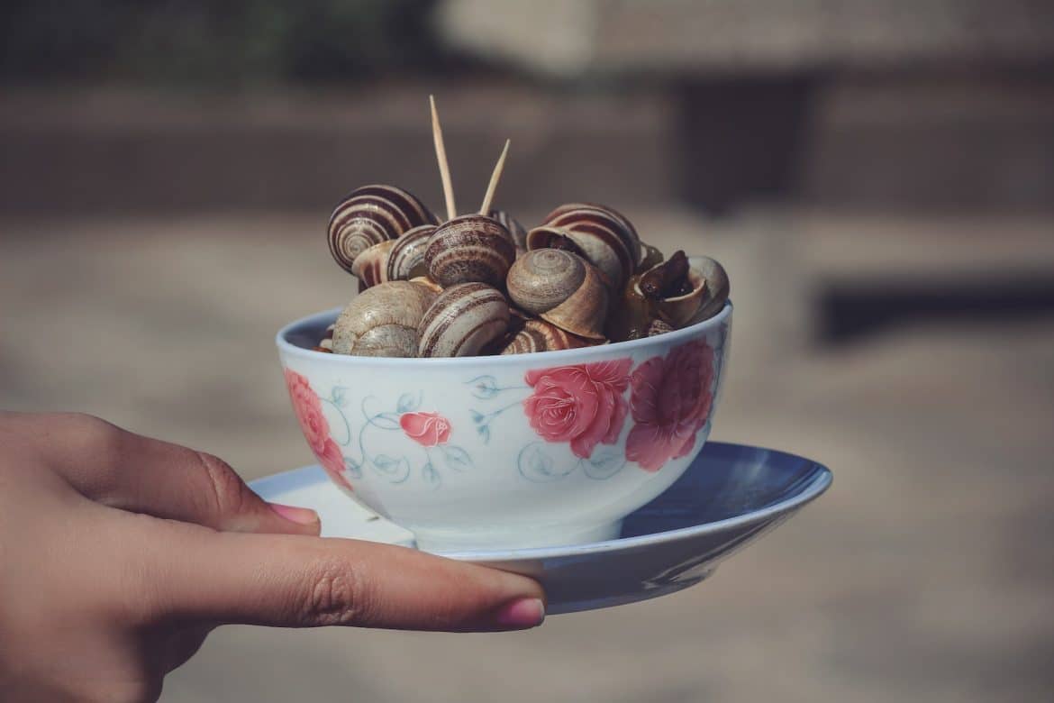 Comment faire cuire et cuisiner des escargots ?